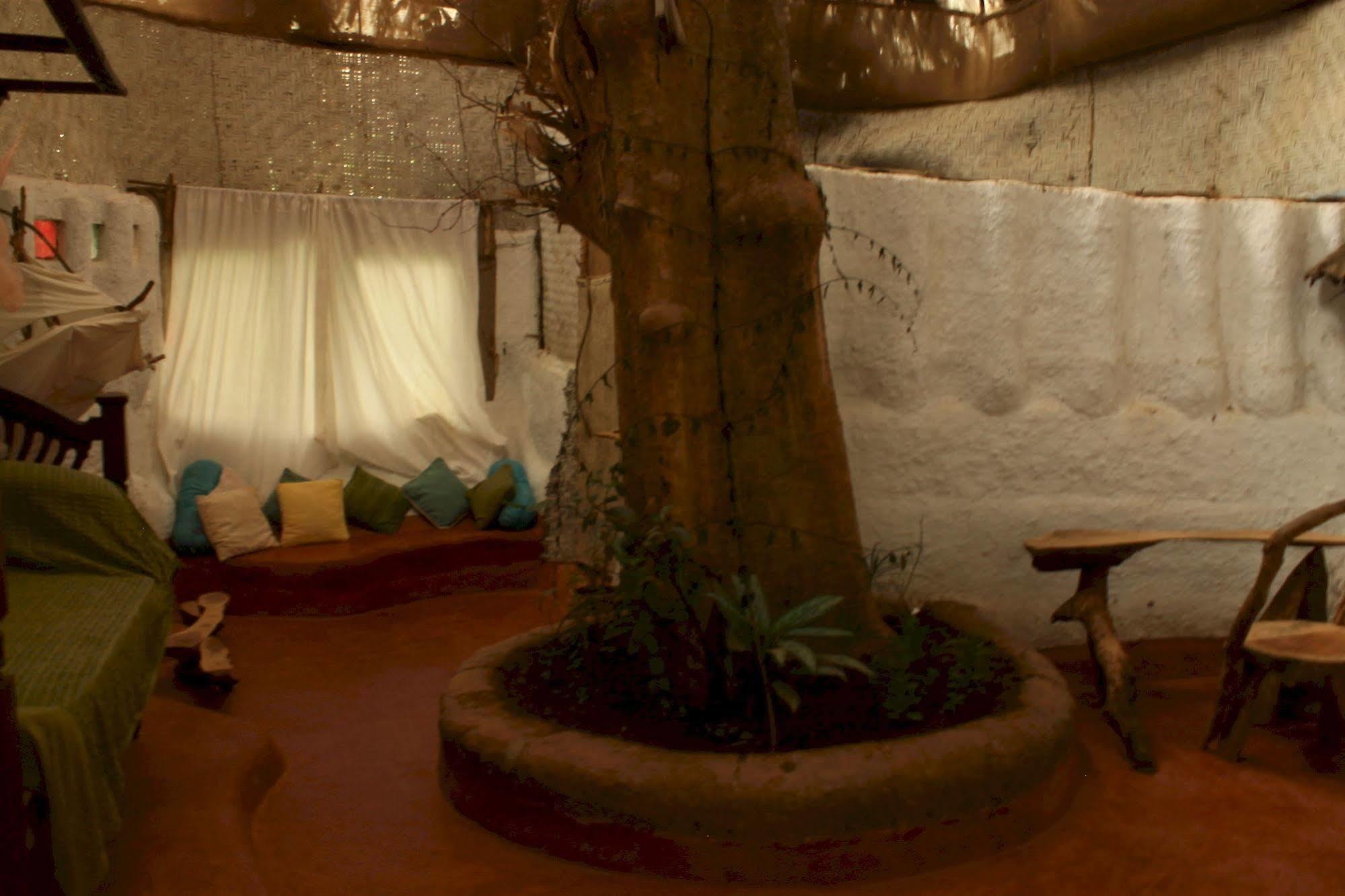 Sangolda サラヤ ベッド アンド ブレックファースト Bed & Breakfast エクステリア 写真