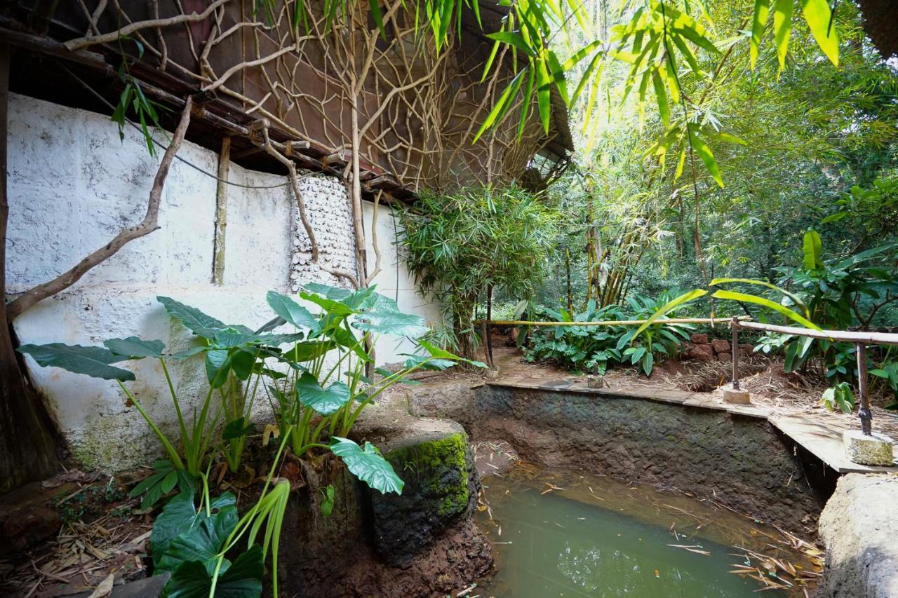 Sangolda サラヤ ベッド アンド ブレックファースト Bed & Breakfast エクステリア 写真
